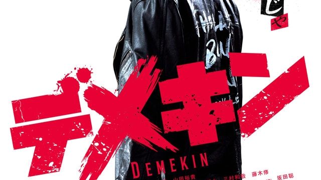 DEMEKIN (2017)